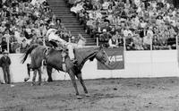 Billy Dean Bridgeman on Wild Fire