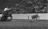 Jerry Dotson Calf roping