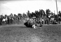 [Saddle Bronc and unidentified rider down on ground with Spectators and photographers in background]