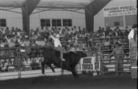 Ronnie McKellips on Bull #132