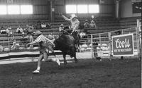Ron Sellers on Bull #65