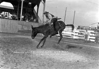 Poncho Villa (Clown) Riding Wild mule Compton Hughes Rodeo