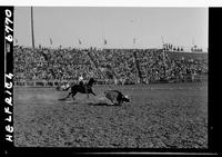 Van Irvine Steer Roping