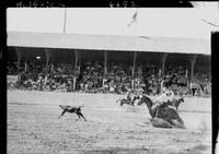 Bud Linderman Calf Roping