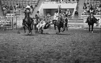 Bill Duvall Steer wrestling