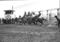 Ernie Barnett on "Fire Neck" San Angelo Tex