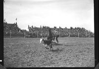 Fred Darnell Calf Roping