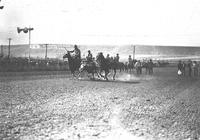 Ralph Stanton Bulldogging Great Falls Mont.