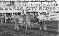 Bull rides, children