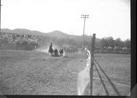 Red Allen Steer Wrestling  8 2/5