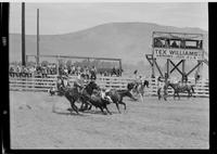 Gordon Davis Steer Wrestling