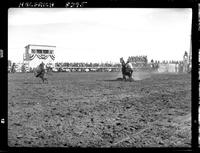 Gordon Davis Calf Roping