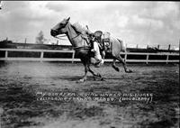 Ray Schafer Going Under His Horse California Frank's Rodeo