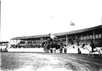 Rex Thill on "Hell Creek" Wolf Point Stampede