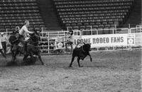 Mike Bailey Calf roping