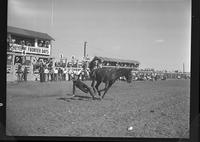 Donald O'Brien off K.C. Kitty