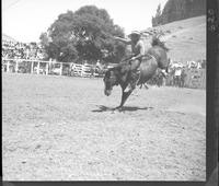 Manuel Enos on Funeral Wagon