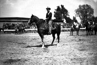 [Unidentified Cowboy on horseback with slicker behind saddle, in front of crowded grandstand]