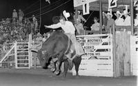 John Dunbar on Bull #14