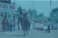 Joe Nunez on Wyoming