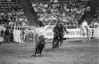 Mike Johnson Calf roping
