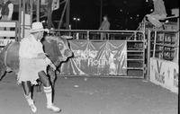 Unidentified Rodeo clowns Bull fighting