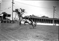 [George Bilby riding and staying with Saddle Bronc "Leaping Lena"]