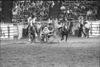 Tommy Combs Steer wrestling