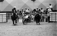 Chuck Spillers Steer wrestling, 3.6 Sec