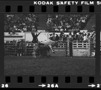 Bobby Delvecchio on Bull #12