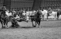 Tom Duvall Steer wrestling