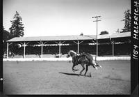 Betty Willis (Tail Drag)