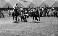 Keith Crowder Steer wrestling