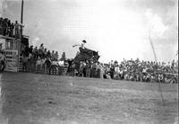 [Unidentified Cowboy on Bronc completely airborne with chute #5 to left & other cowboys behind him]
