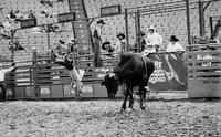 Bill Loring on Devil Demon
