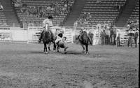 Duane Larson Steer wrestling