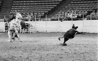 Doug Clark Calf roping