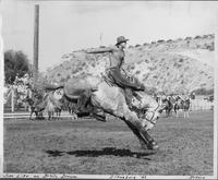 Jim Like on Devils Dream Ellensburg '46