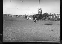 Gerald Roberts on Bear Park