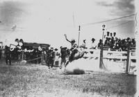 Dale Adams Riding Sheridan, Wyo. Rodeo