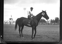 Willis Irvin Race Horse