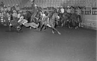 Billy Hale Steer wrestling