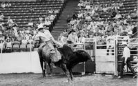 Cecil Davis on Out to Lunch