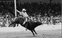 Art Ray on Bull #32