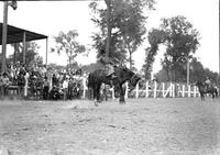 [Unidentified Cowboy with letter "BM" on his chaps riding and staying with his mount]