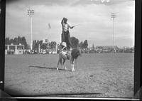 Zeke Bowery Standing on Horse