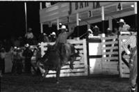 Waley Cathey on Bull #3