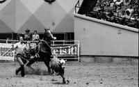 Larry Bailey Calf roping