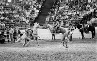 Gaylon George Calf roping