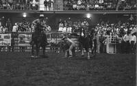 C.R. Halquist Steer wrestling